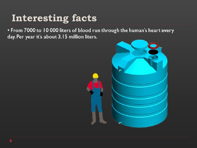 Interesting facts  From 7000 to 10 000 liters of blood run through the